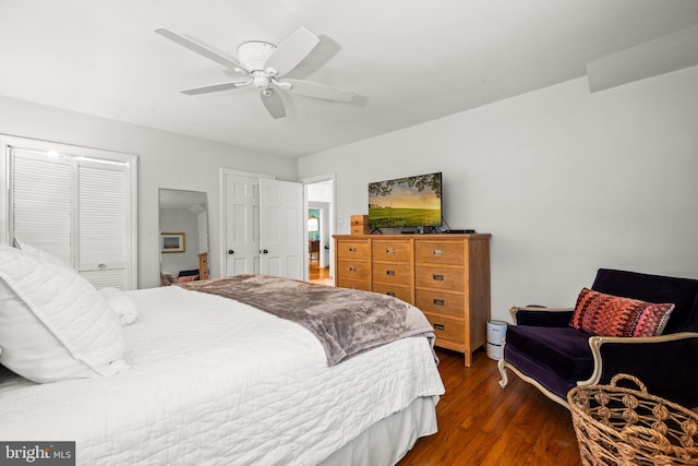 bedroom featuring dark wood finished floors, a ceiling fan, and multiple closets