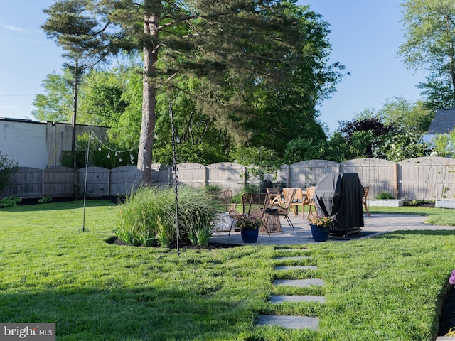 view of yard