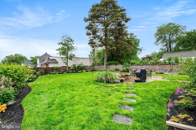 view of yard featuring a patio