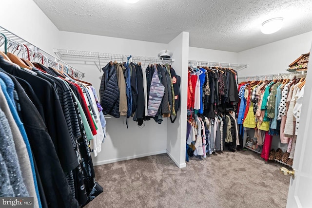 5971 Schooner Cir, King George, VA 22485 - spacious closet featuring carpet floors