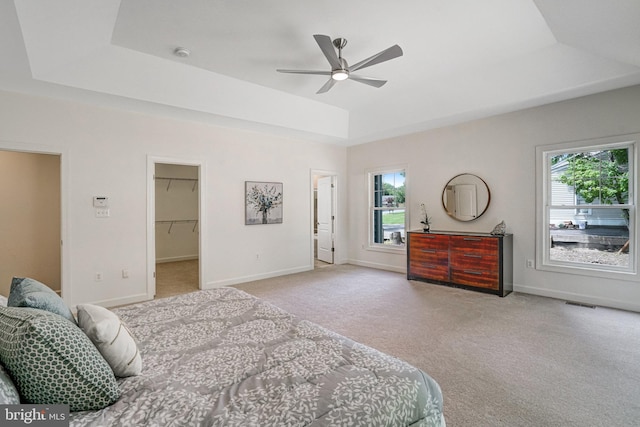 carpeted bedroom with a tray ceiling, baseboards, a walk in closet, and a ceiling fan