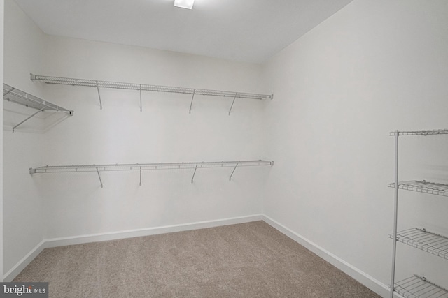 spacious closet featuring light carpet