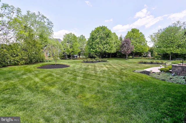 view of yard