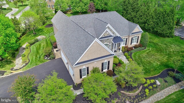 bird's eye view