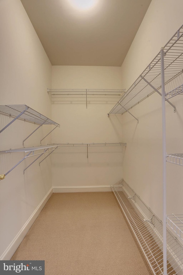 spacious closet featuring light carpet