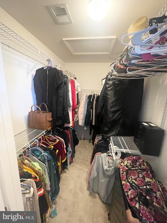 1716 Sunningdale Ln, Hanover, MD 21076 - spacious closet featuring attic access and carpet floors