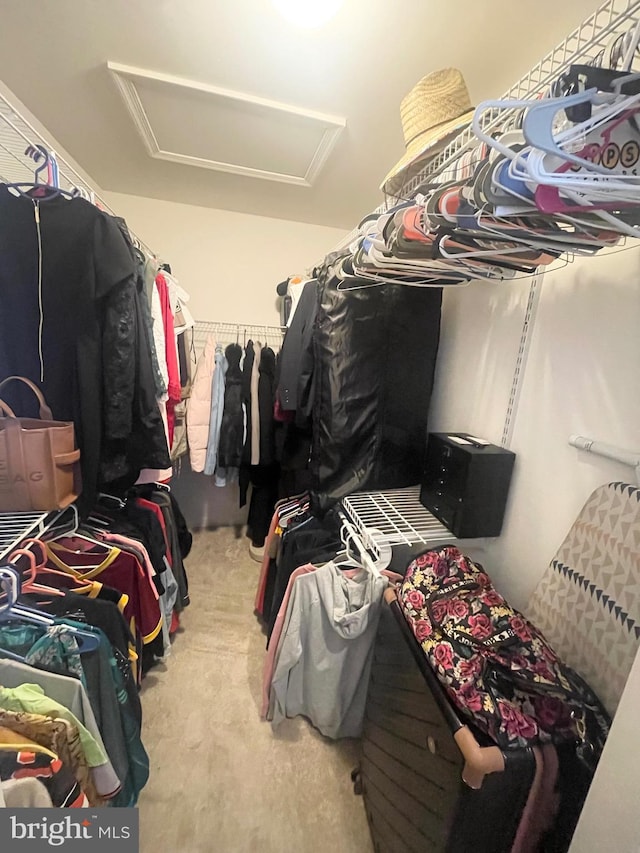 1716 Sunningdale Ln, Hanover, MD 21076 - spacious closet featuring attic access and carpet