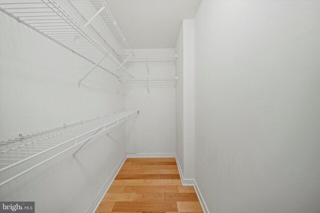walk in closet featuring light wood finished floors