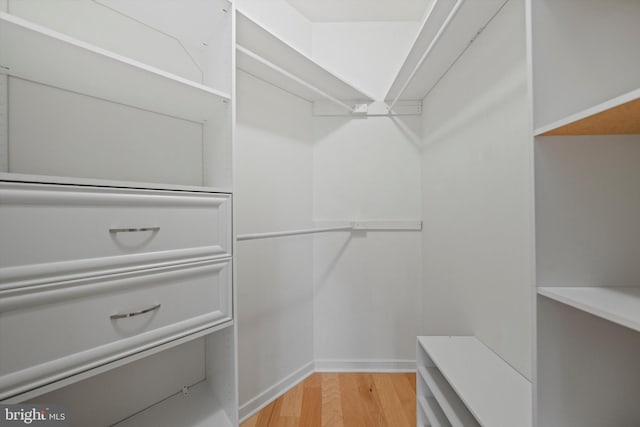 spacious closet featuring light wood-type flooring