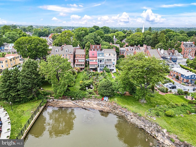 13 The Strand, New Castle, DE 19720 - aerial view of a tree filled landscape