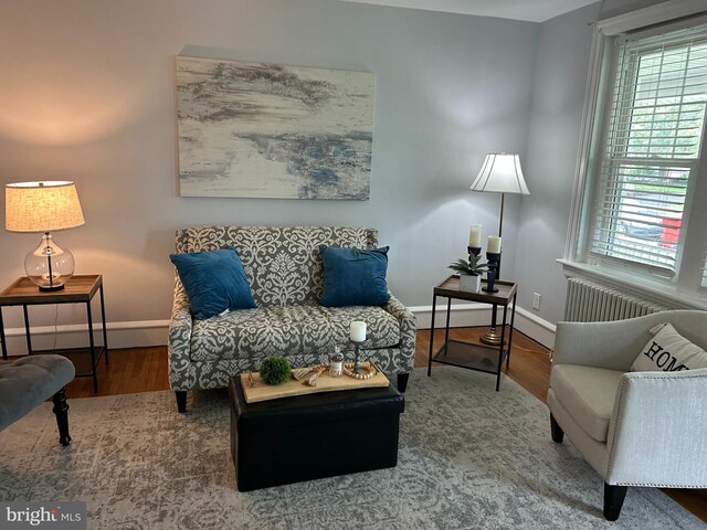 36 W Summit St, Souderton, PA 18964 - living area with wood finished floors, baseboards, and healthy amount of natural light