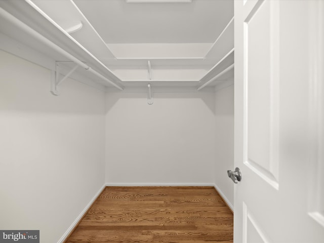 222 Springloch Rd, Silver Spring, MD 20904 - walk in closet featuring wood finished floors