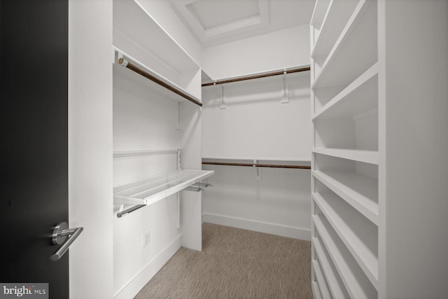 4012 N Upland St, Arlington, VA 22207 - spacious closet featuring carpet floors