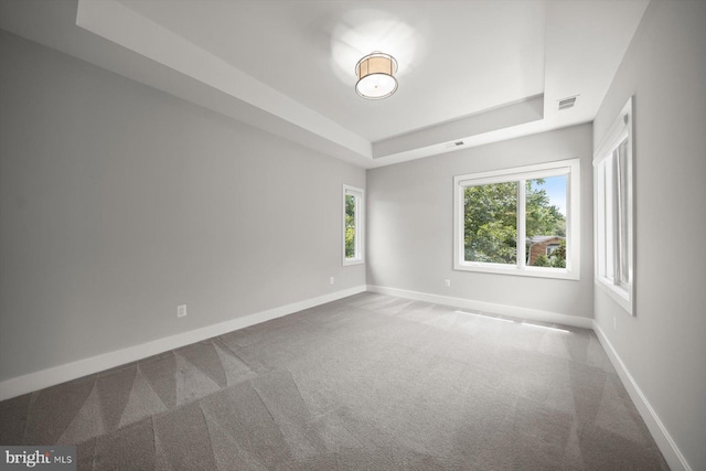 4012 N Upland St, Arlington, VA 22207 - spare room with carpet flooring, a tray ceiling, and baseboards