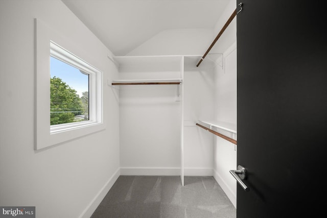 4012 N Upland St, Arlington, VA 22207 - spacious closet featuring vaulted ceiling and carpet flooring