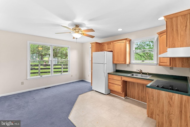 kitchen featuring freestanding refrigerator, under cabinet range hood, black electric stovetop, a ceiling fan, and a sink