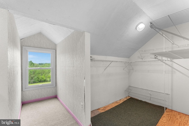 spacious closet with vaulted ceiling