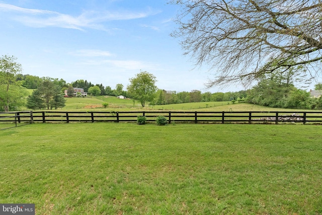 view of yard with a rural view