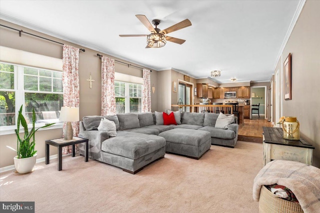 7501 Mason Ct, Middletown, MD 21769 - living area featuring ornamental molding, ceiling fan, light carpet, and baseboards