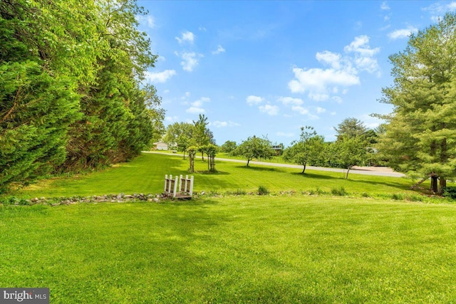 7501 Mason Ct, Middletown, MD 21769 - view of grassy yard