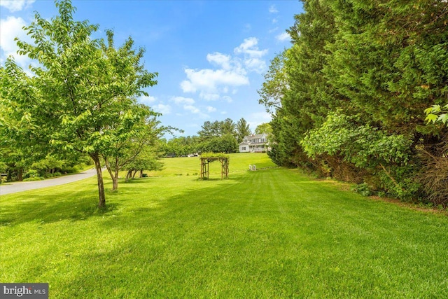 7501 Mason Ct, Middletown, MD 21769 - view of green lawn