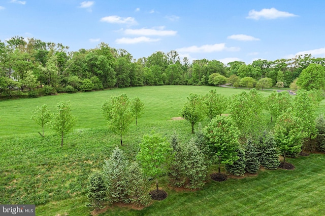 view of undeveloped land