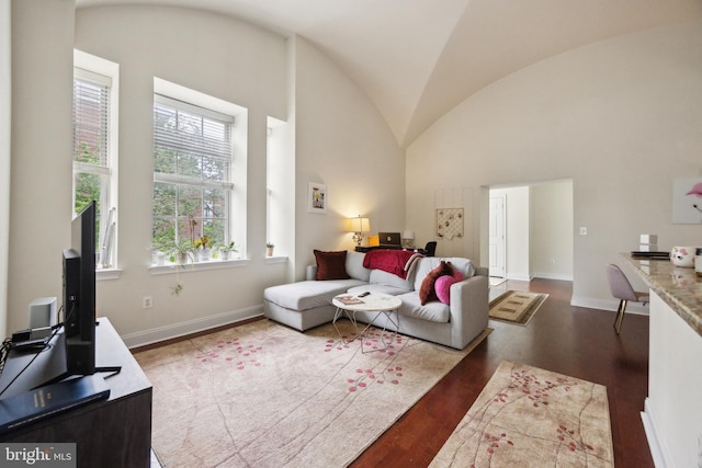 1 Academy Cir Unit 201, Philadelphia, PA 19146 - living area featuring dark wood-style flooring, baseboards, and high vaulted ceiling