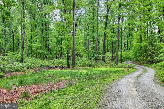 540 Bremer Rd, Dover, PA 17315 - view of dirt / gravel road featuring a forest view