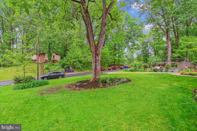 view of yard with aphalt driveway