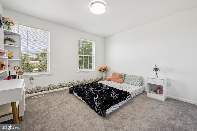 4 Elma Ave, Burlington, NJ 08016 - bedroom with carpet flooring and baseboards