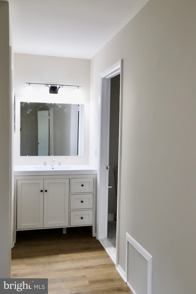 bathroom with wood finished floors and vanity