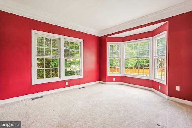 12630 Garry Glen Dr, Bristow, VA 20136 - empty room with baseboards, carpet flooring, and ornamental molding