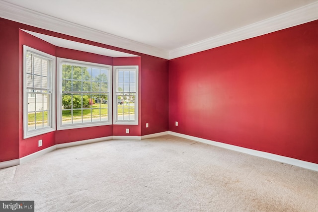 12630 Garry Glen Dr, Bristow, VA 20136 - carpeted spare room with ornamental molding and baseboards