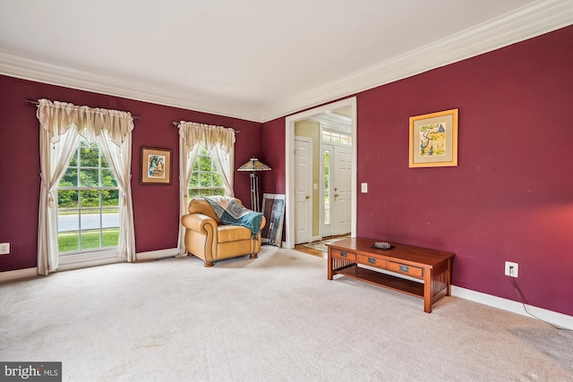 12630 Garry Glen Dr, Bristow, VA 20136 - sitting room with carpet floors, ornamental molding, and baseboards