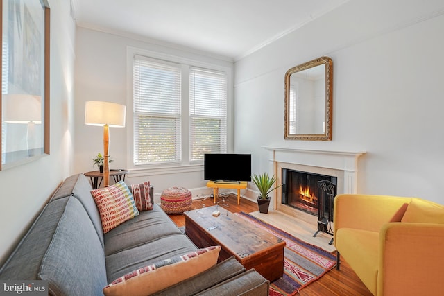 520 E Street Ne 105, Washington, DC 20002 - living area with a premium fireplace, ornamental molding, and wood finished floors