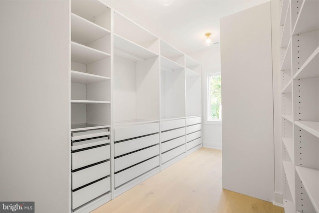 spacious closet with wood finished floors