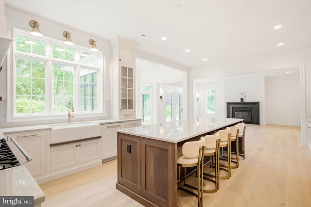 kitchen with a sink, light wood finished floors, healthy amount of natural light, a glass covered fireplace, and recessed lighting