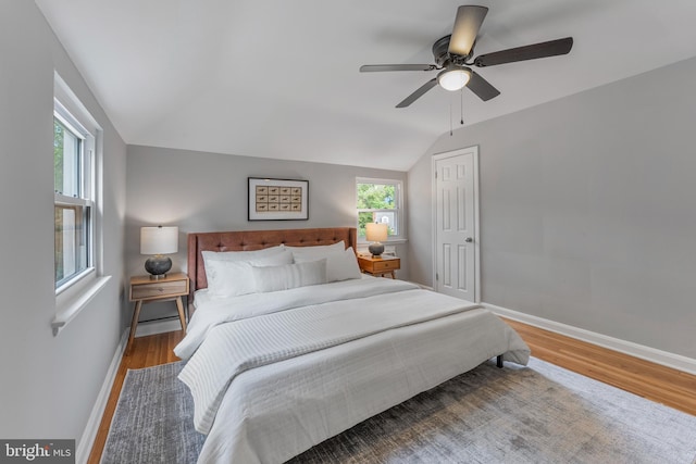 bedroom featuring baseboards, multiple windows, and wood finished floors