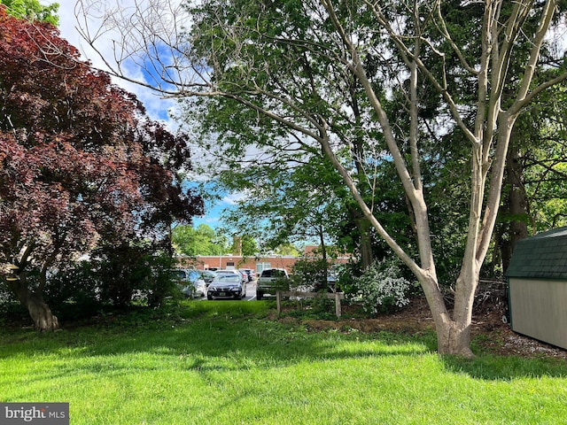 309 N N Morris St, Shippensburg, PA 17257 - view of grassy yard with a storage shed and an outdoor structure