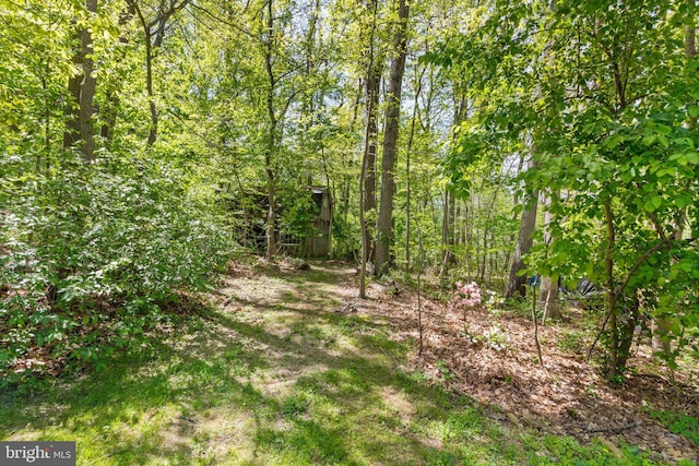 view of local wilderness featuring a wooded view