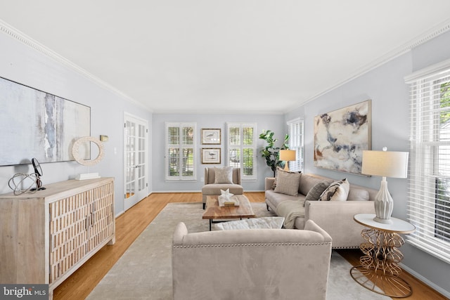 living area featuring wood finished floors and crown molding