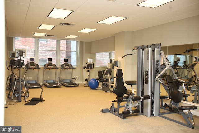 exercise room featuring a paneled ceiling, visible vents, and carpet