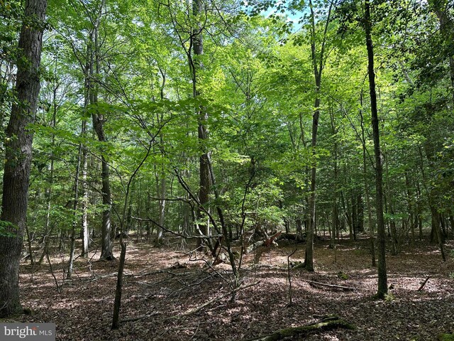 Lankford Hwy, Bloxom, VA 23308