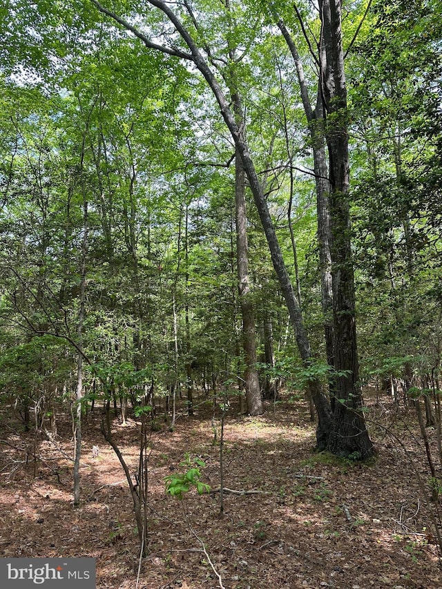 Lankford Hwy, Bloxom, VA 23308