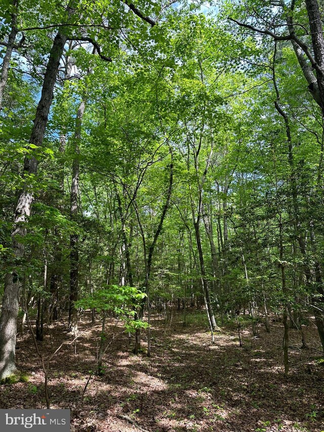 Lankford Hwy, Bloxom, VA 23308