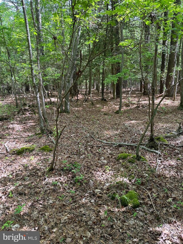 Lankford Hwy, Bloxom, VA 23308