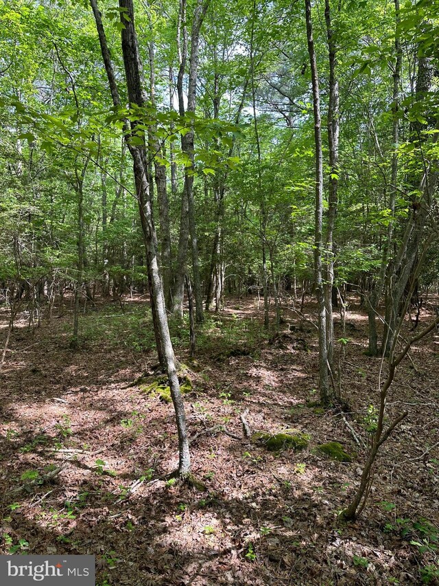 Lankford Hwy, Bloxom, VA 23308