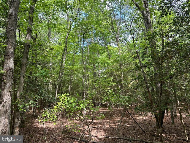 Lankford Hwy, Bloxom, VA 23308