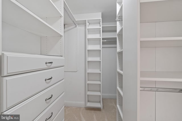 spacious closet with carpet floors