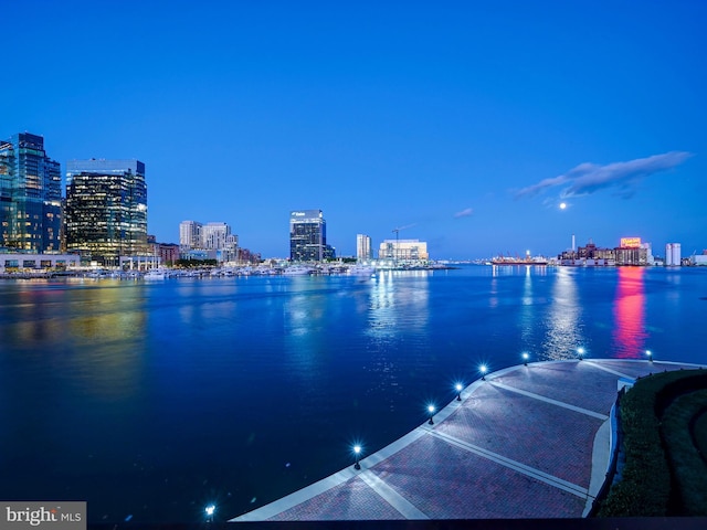 water view with a view of city lights